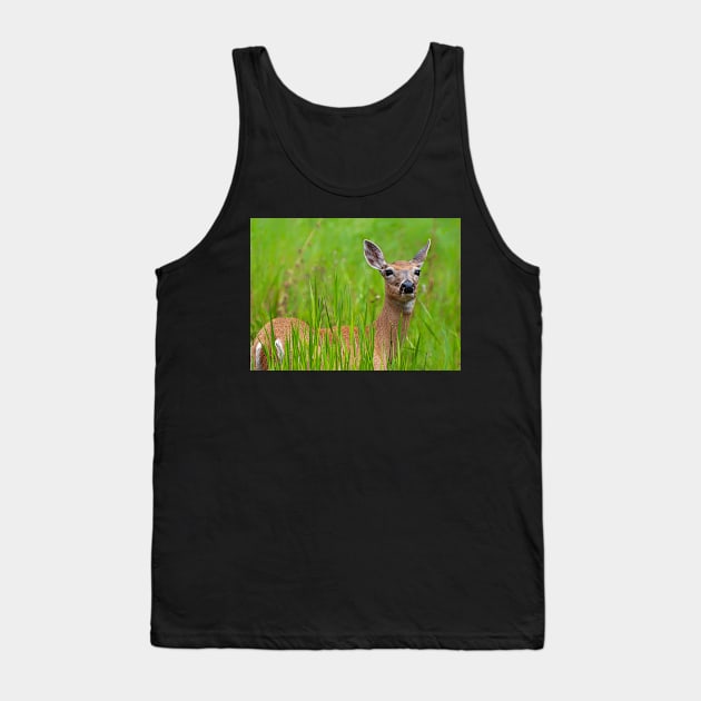 Doe in tall grass Tank Top by joesaladino